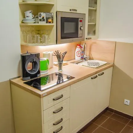 Apartment Vertigo Карлові Вари Екстер'єр фото